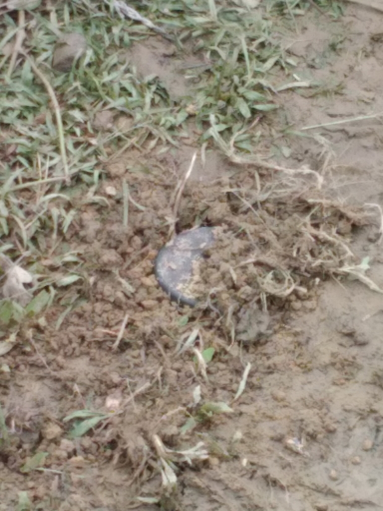 One of many images which Amnesty International verified, showing a landmine buried near the border. © Private