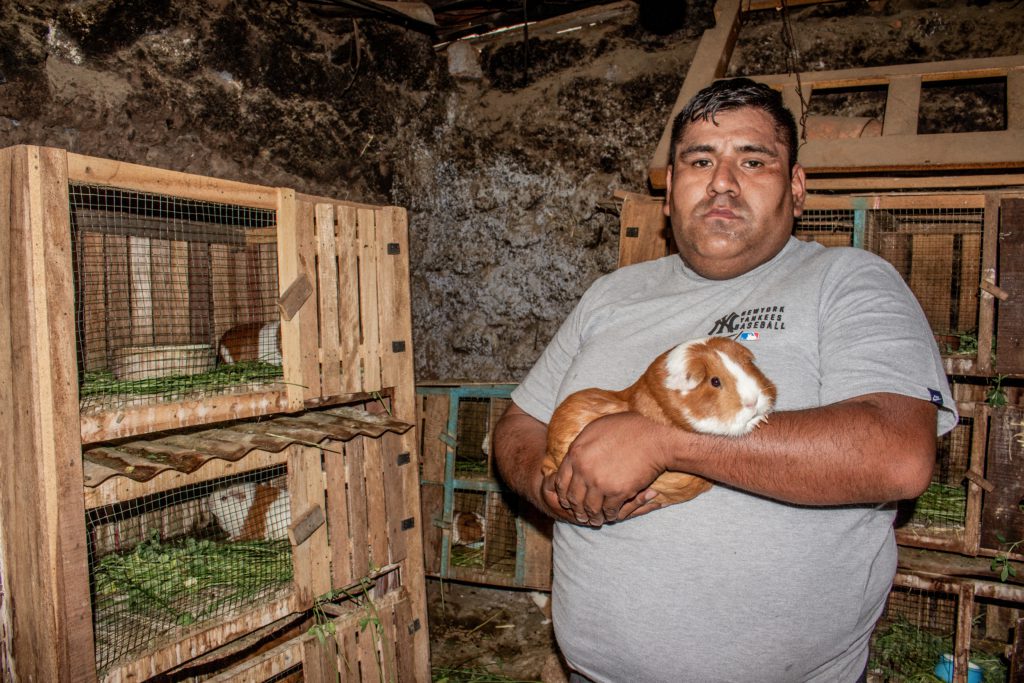 Red continues his job as a taxi driver and takes care of his guinea pig