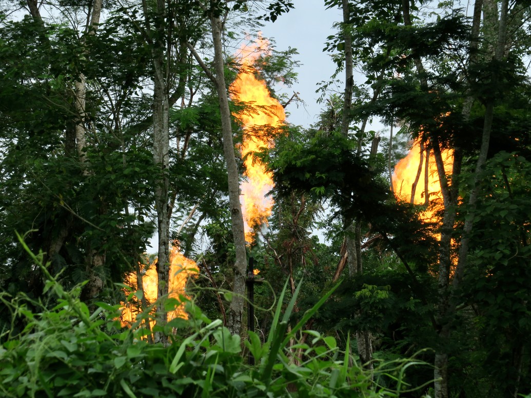 La quema rutinaria de gas asociada a la extracción de petróleo contamina gravemente el medio ambiente de la Amazonía ecuatoriana.