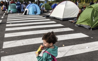 Serbia/Hungría: Refugiados atrapados en “tierra de nadie” en la frontera, en lo que constituye una atroz catástrofe humanitaria